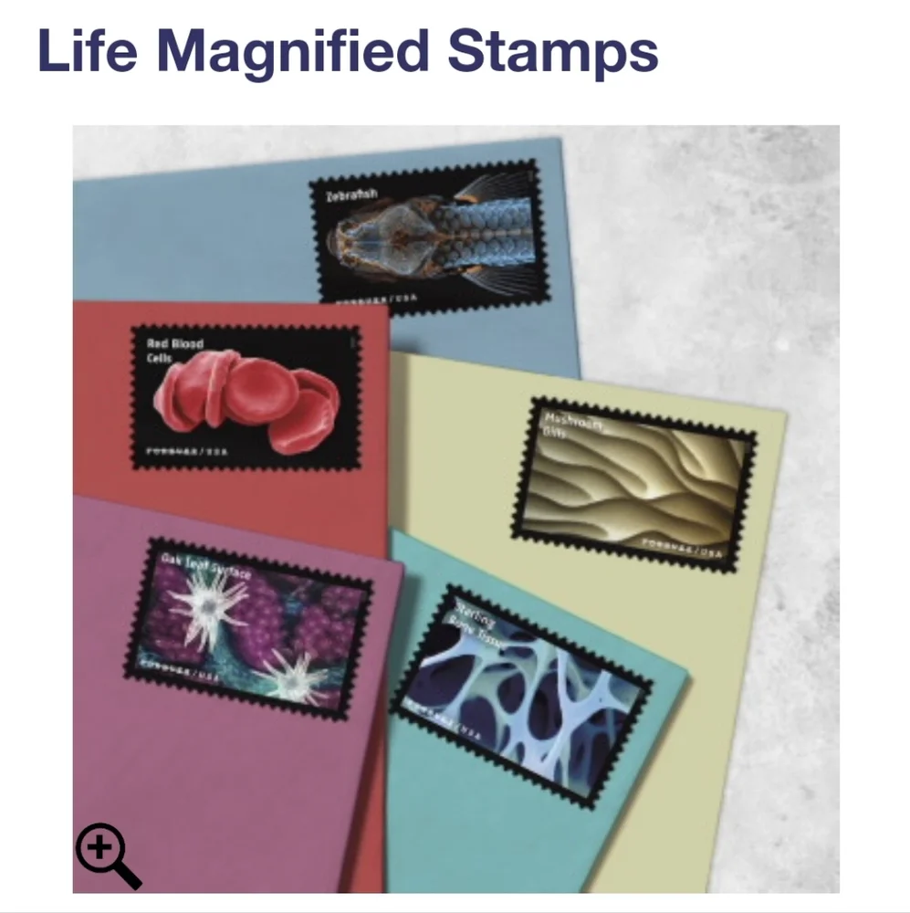 100 Life Magnified 2023 Forever Postage Stamps US Postal USPS Wedding Invitation